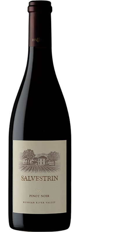 Product Image for 2022 Pinot Noir, Russian River